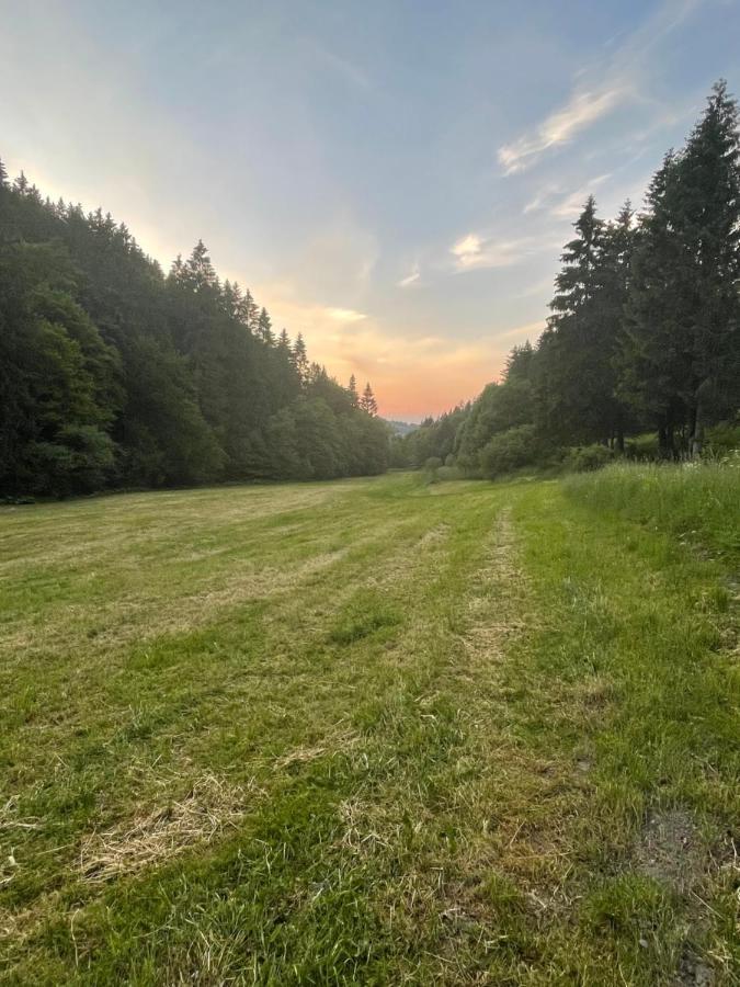 Ferienwohnung Up Willingen-Schwalefeld Willingen  Dış mekan fotoğraf