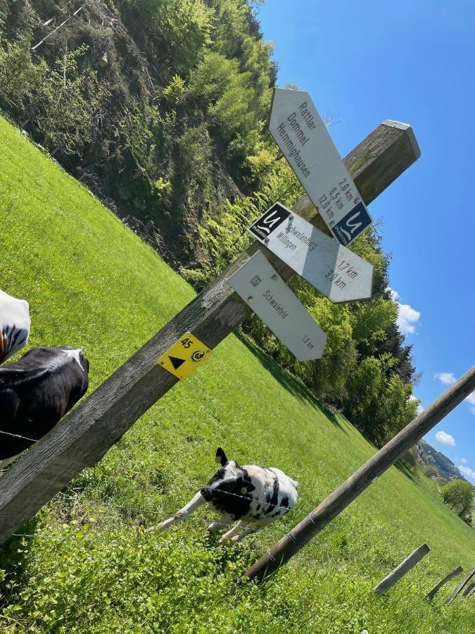 Ferienwohnung Up Willingen-Schwalefeld Willingen  Dış mekan fotoğraf