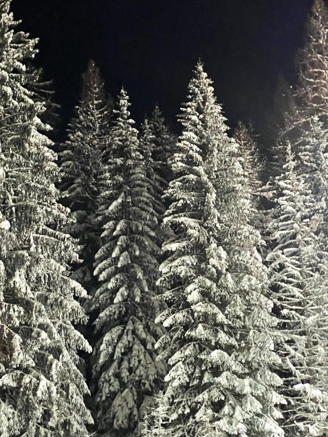 Ferienwohnung Up Willingen-Schwalefeld Willingen  Dış mekan fotoğraf