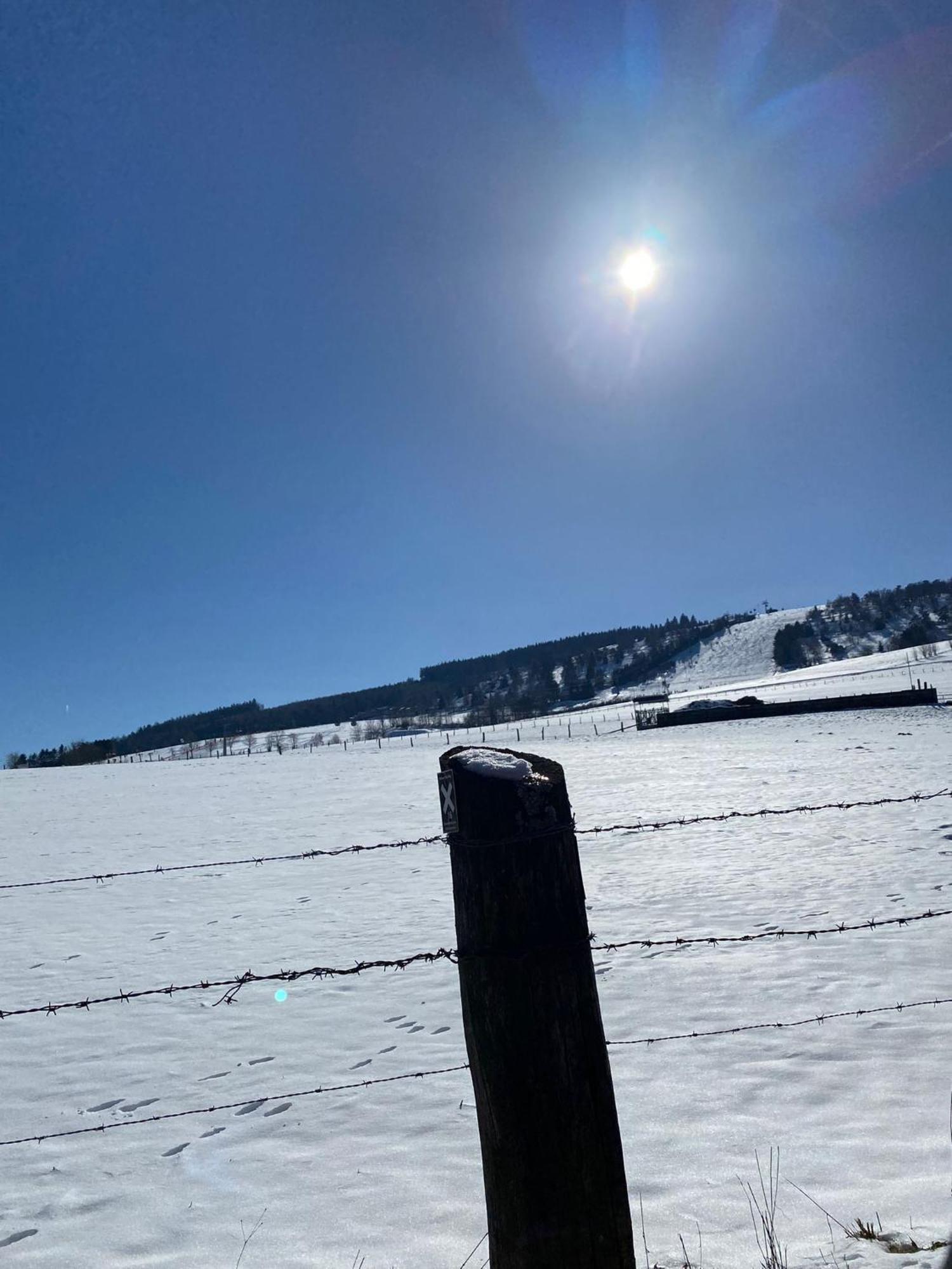 Ferienwohnung Up Willingen-Schwalefeld Willingen  Dış mekan fotoğraf